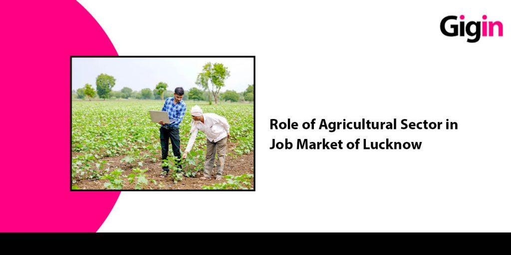 Jobs in Lucknow